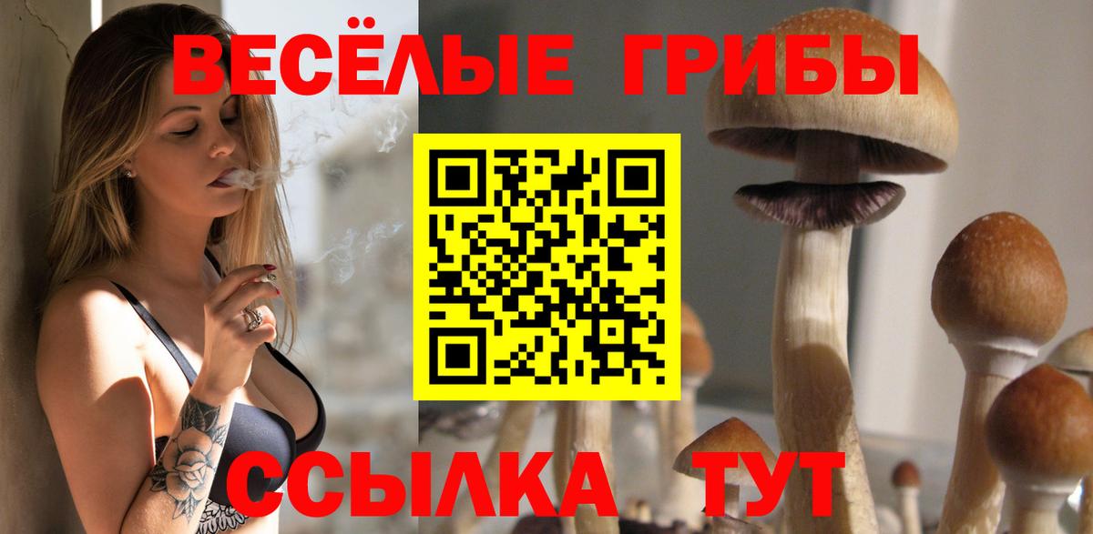 Галлюциногенные грибы GOLDEN TEACHER Гагарин
